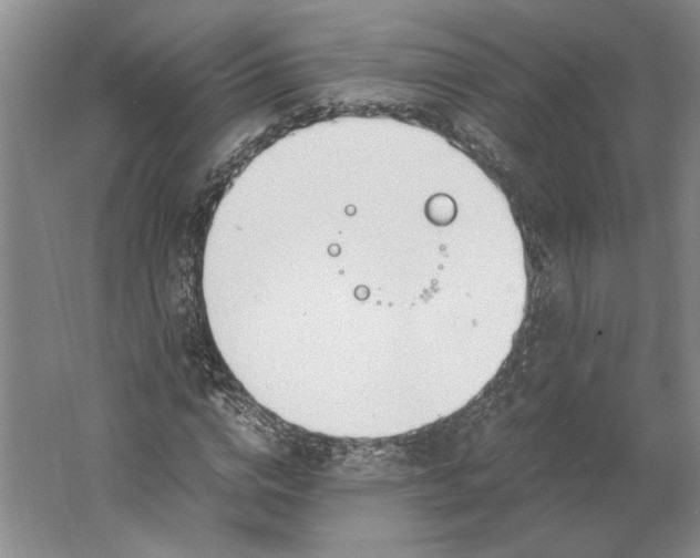 X0000061720824200512161553