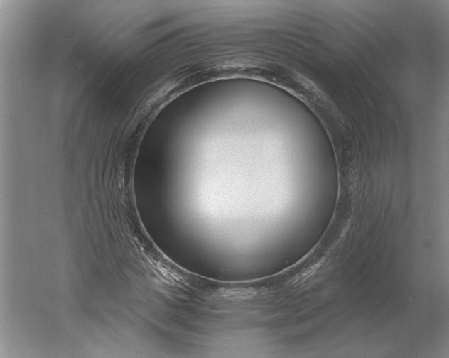 X0000061720825200512161553