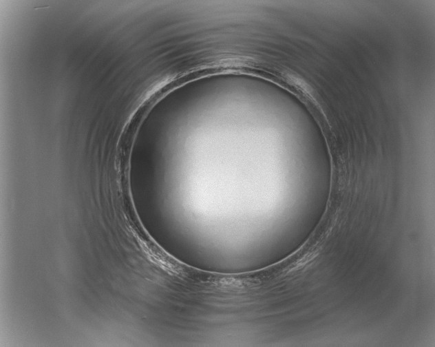 X0000061720827200512161553