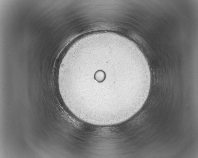 X0000061720828200512161553