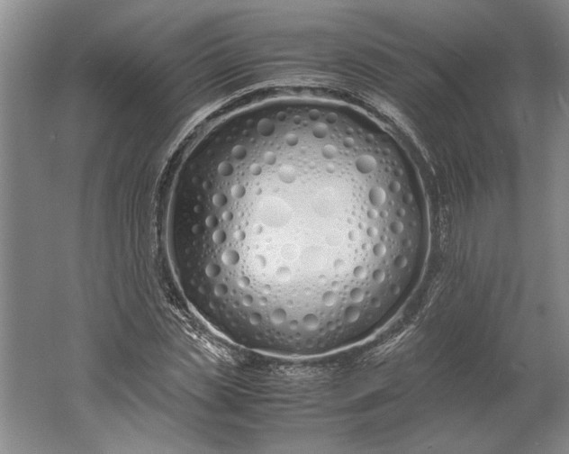 X0000061720829200512161553