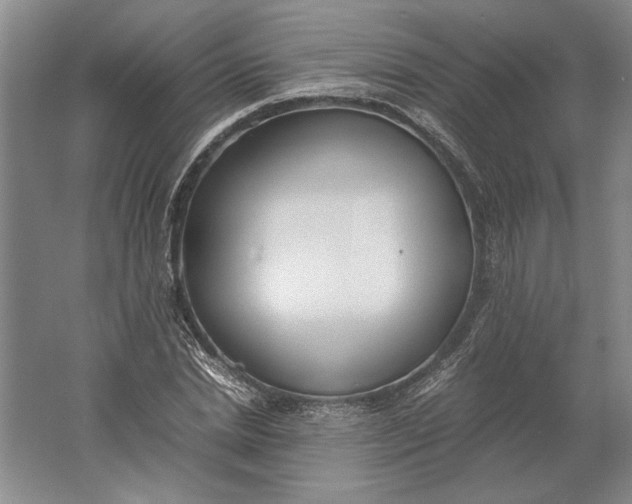 X0000061720830200512161553