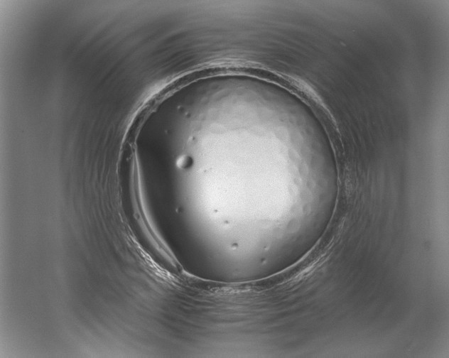 X0000061720831200512161553