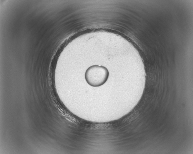 X0000061720832200512161553