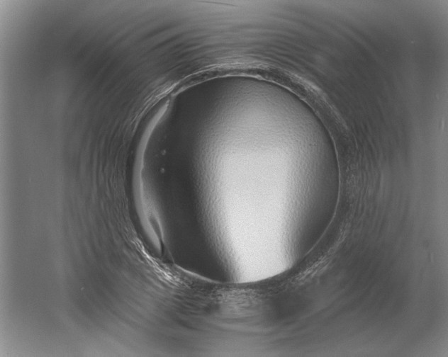 X0000061720833200512161553