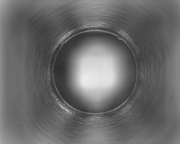 X0000061720834200512161553