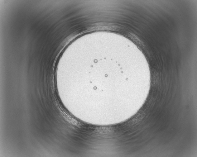 X0000061720836200512161553