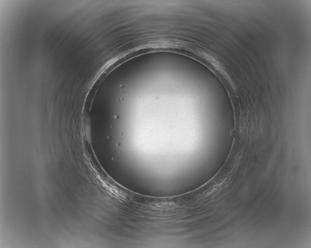 X0000061720837200512161553