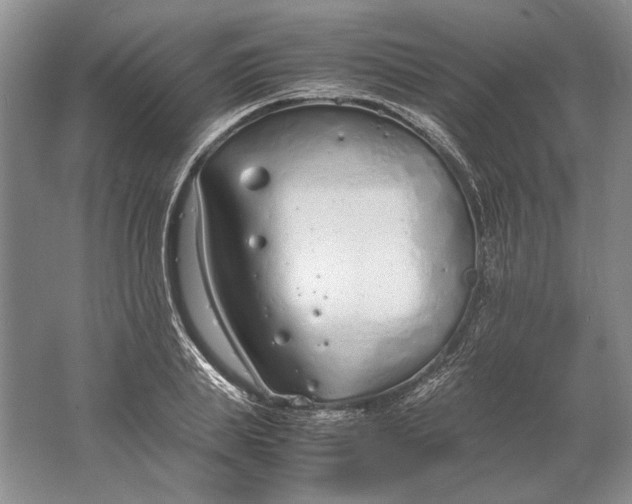 X0000061720839200512161553