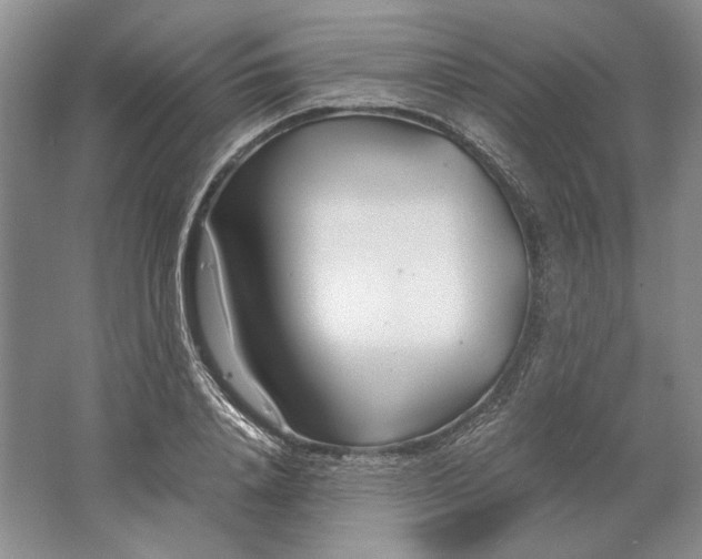 X0000061720840200512161553