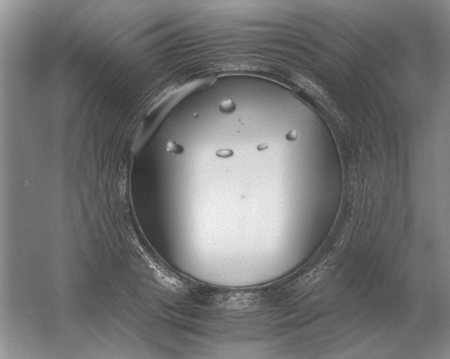 X0000061720841200512161553