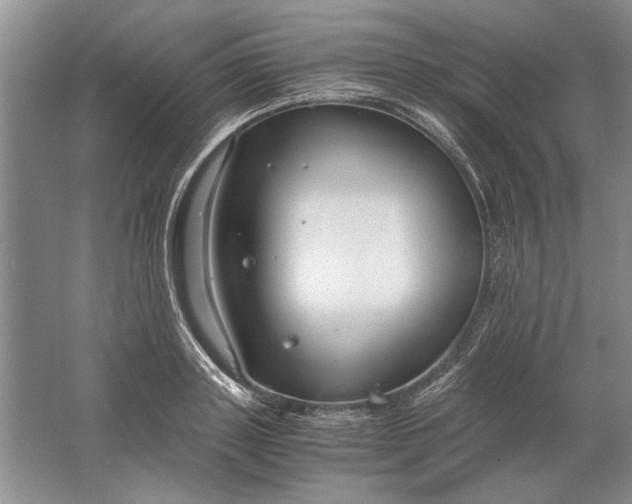 X0000061720843200512161553