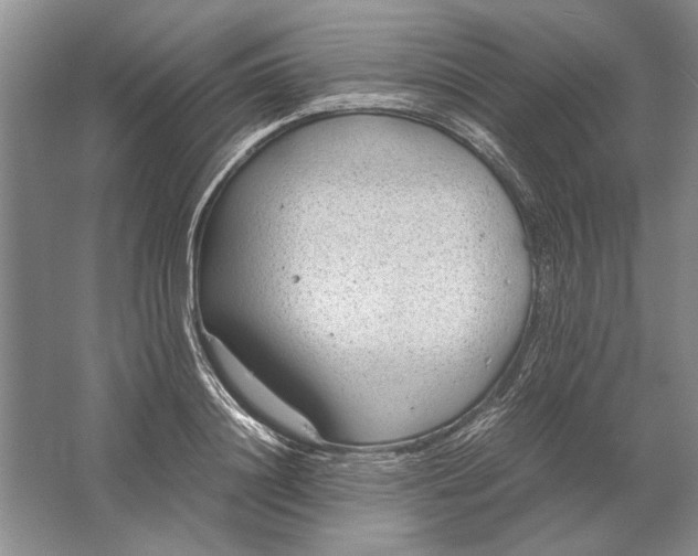 X0000061720844200512161553