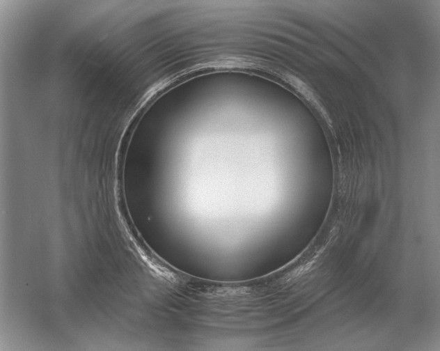 X0000061720845200512161553