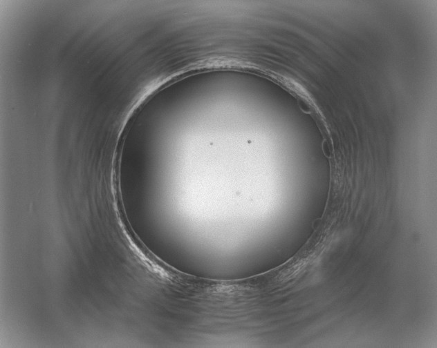 X0000061720847200512161553