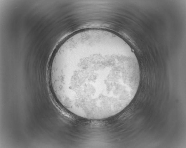 X0000061720848200512161553