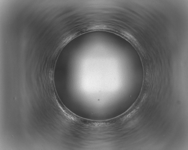 X0000061720849200512161553