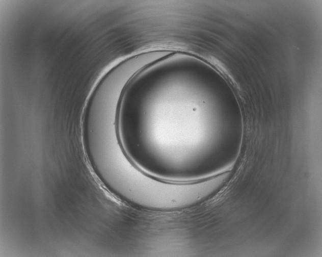 X0000061720854200512161553