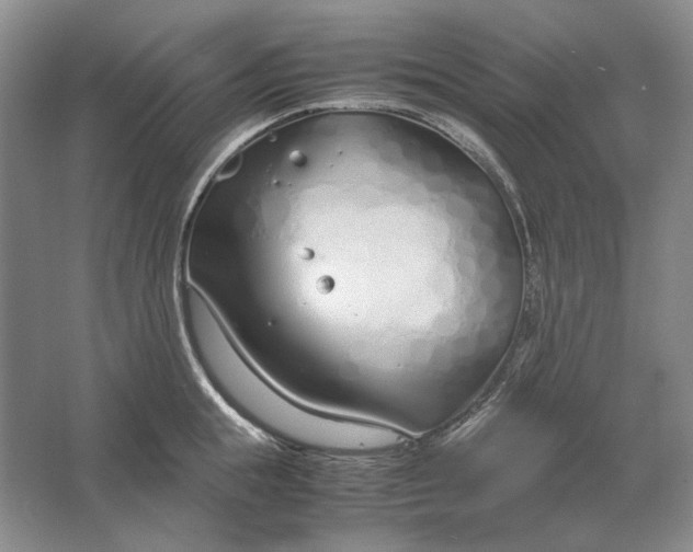 X0000061720855200512161553