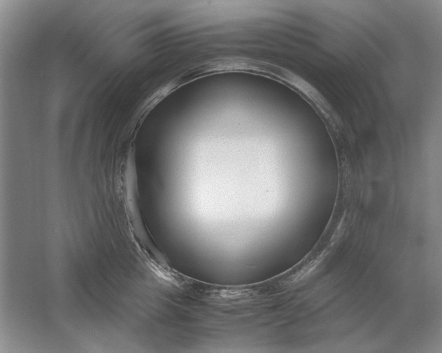 X0000061720857200512161553