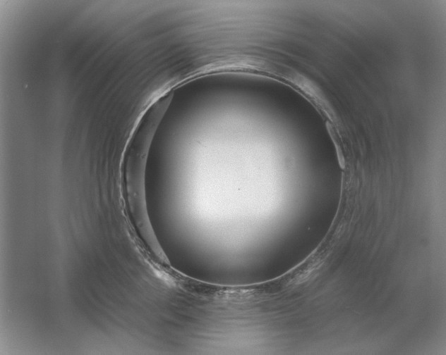 X0000061720858200512161553