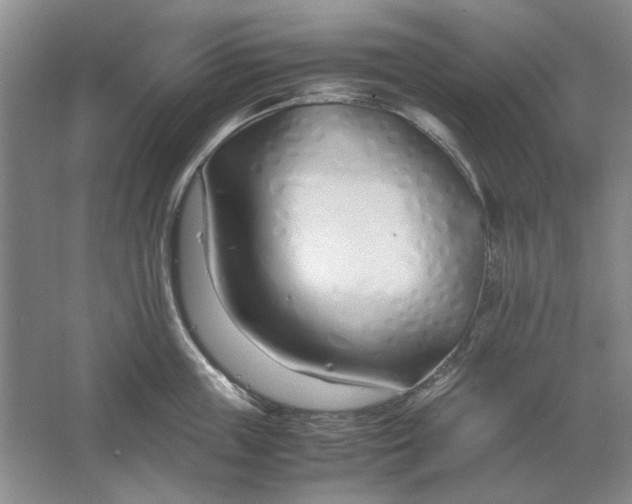 X0000061720859200512161553