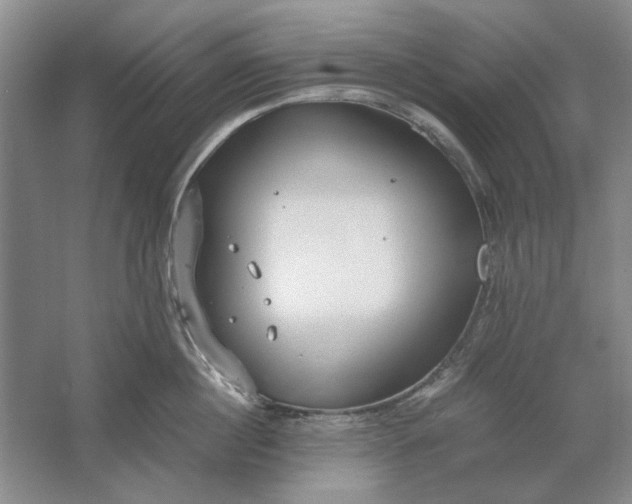 X0000061720860200512161553