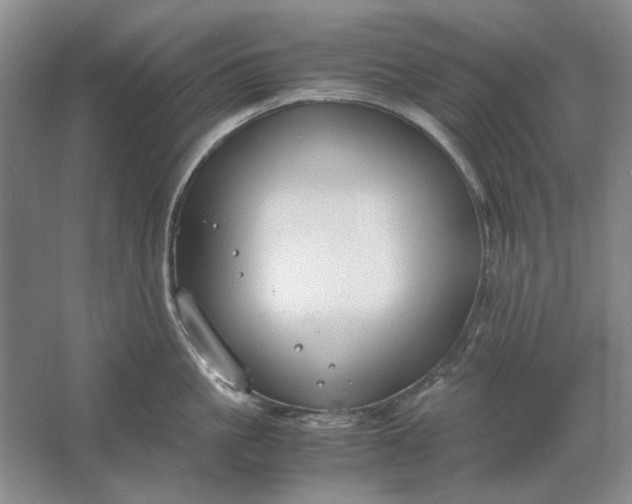 X0000061720861200512161553