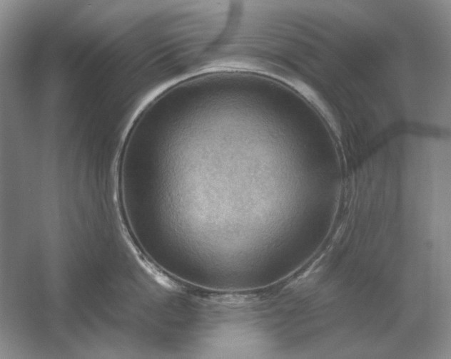 X0000061720862200512161553