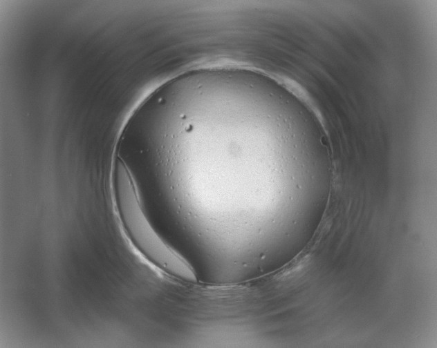 X0000061720863200512161553