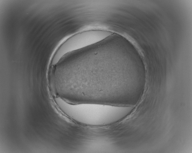 X0000061720864200512161553