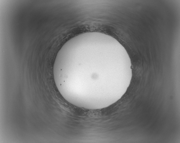 X0000061720865200512161552