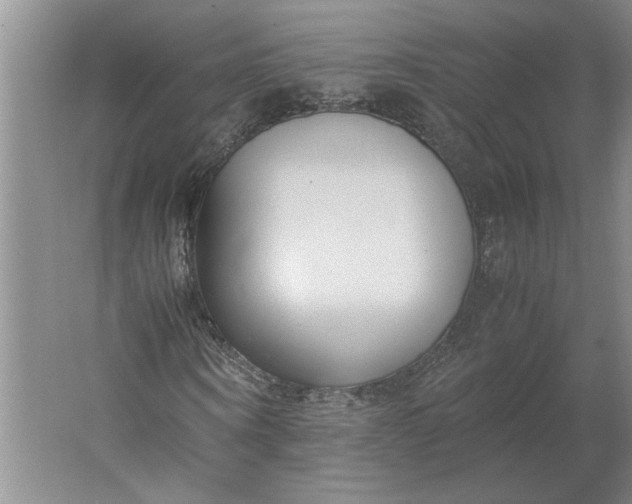 X0000061720866200512161552