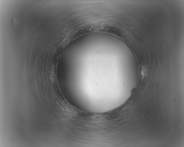 X0000061720867200512161552