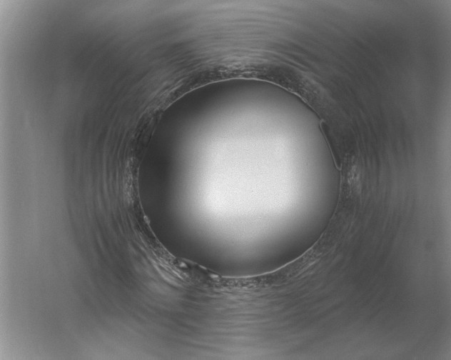 X0000061720868200512161552