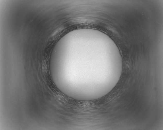 X0000061720869200512161552