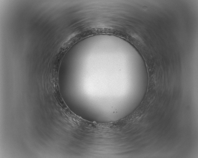 X0000061720870200512161552