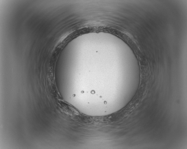 X0000061720871200512161552