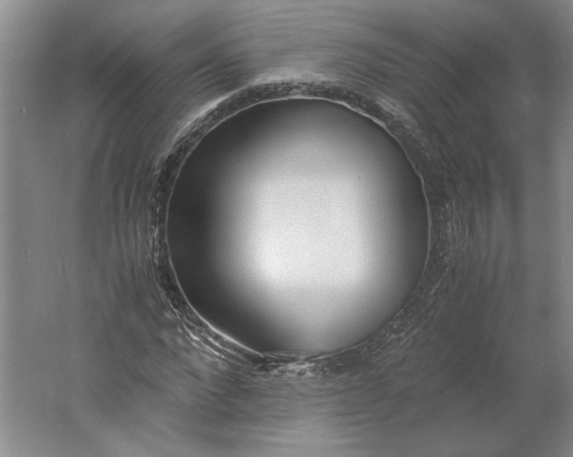 X0000061720872200512161552