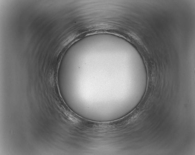 X0000061720873200512161552