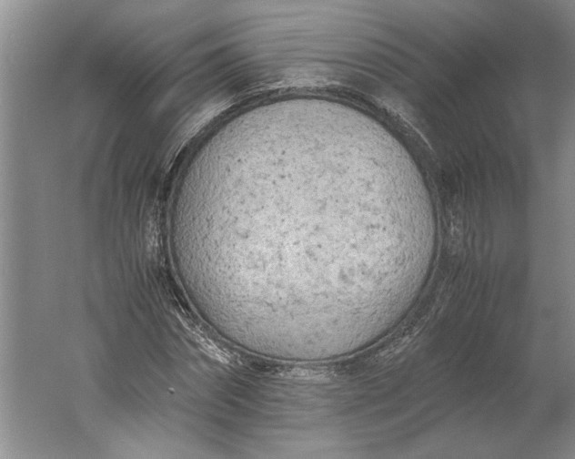 X0000061720874200512161552