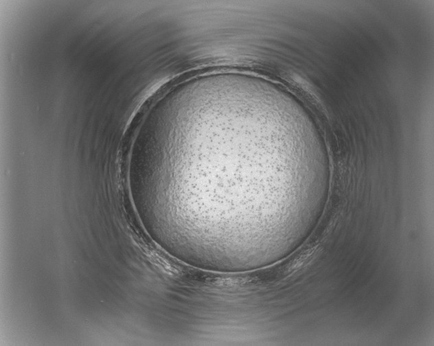 X0000061720875200512161552