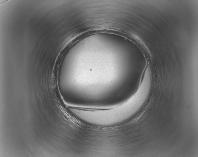 X0000061720876200512161552