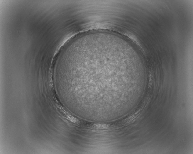 X0000061720878200512161552