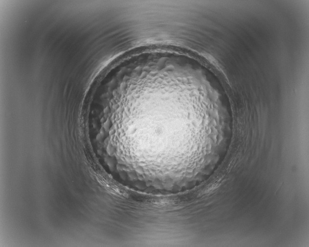 X0000061720879200512161552