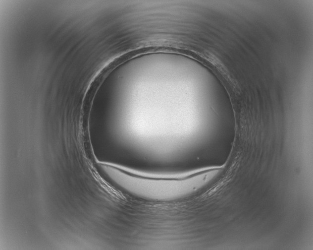 X0000061720880200512161552