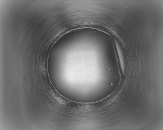 X0000061720881200512161552