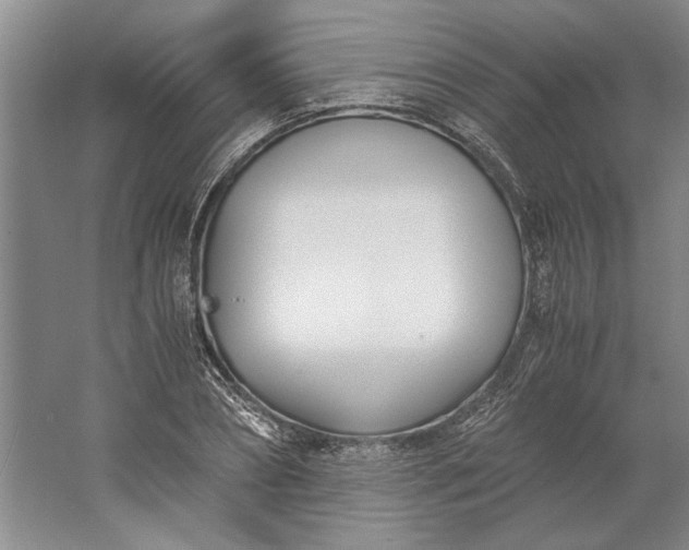 X0000061720882200512161552