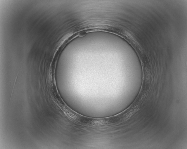 X0000061720883200512161552