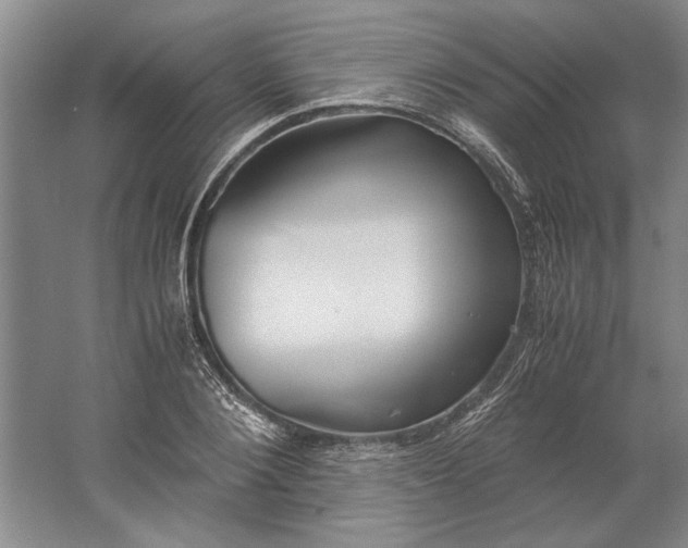 X0000061720884200512161552